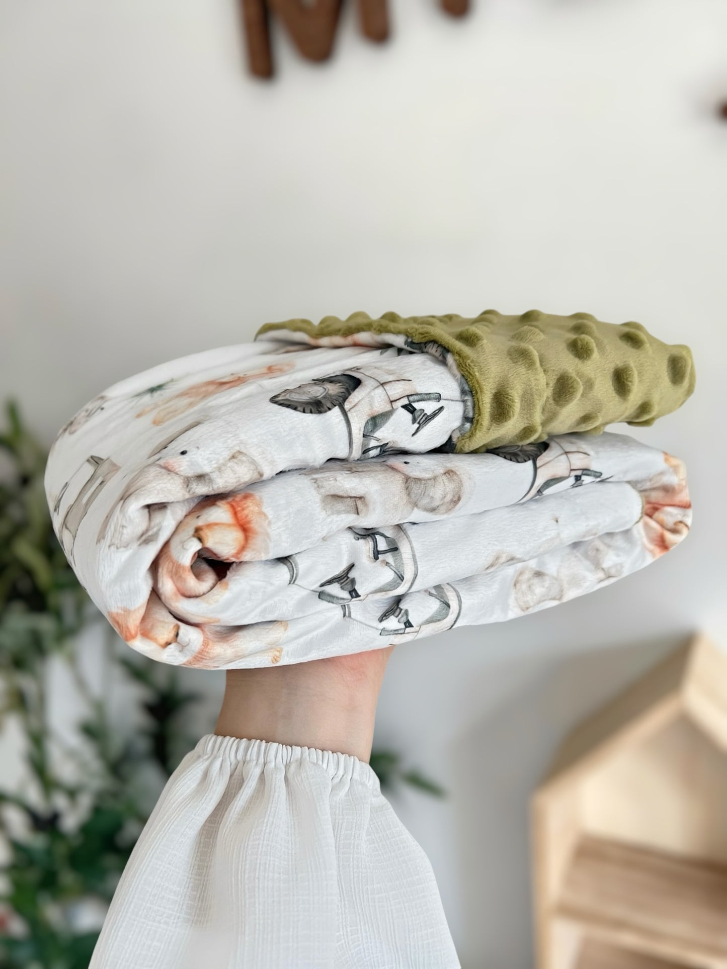 Minky blanket - Safari and trucks