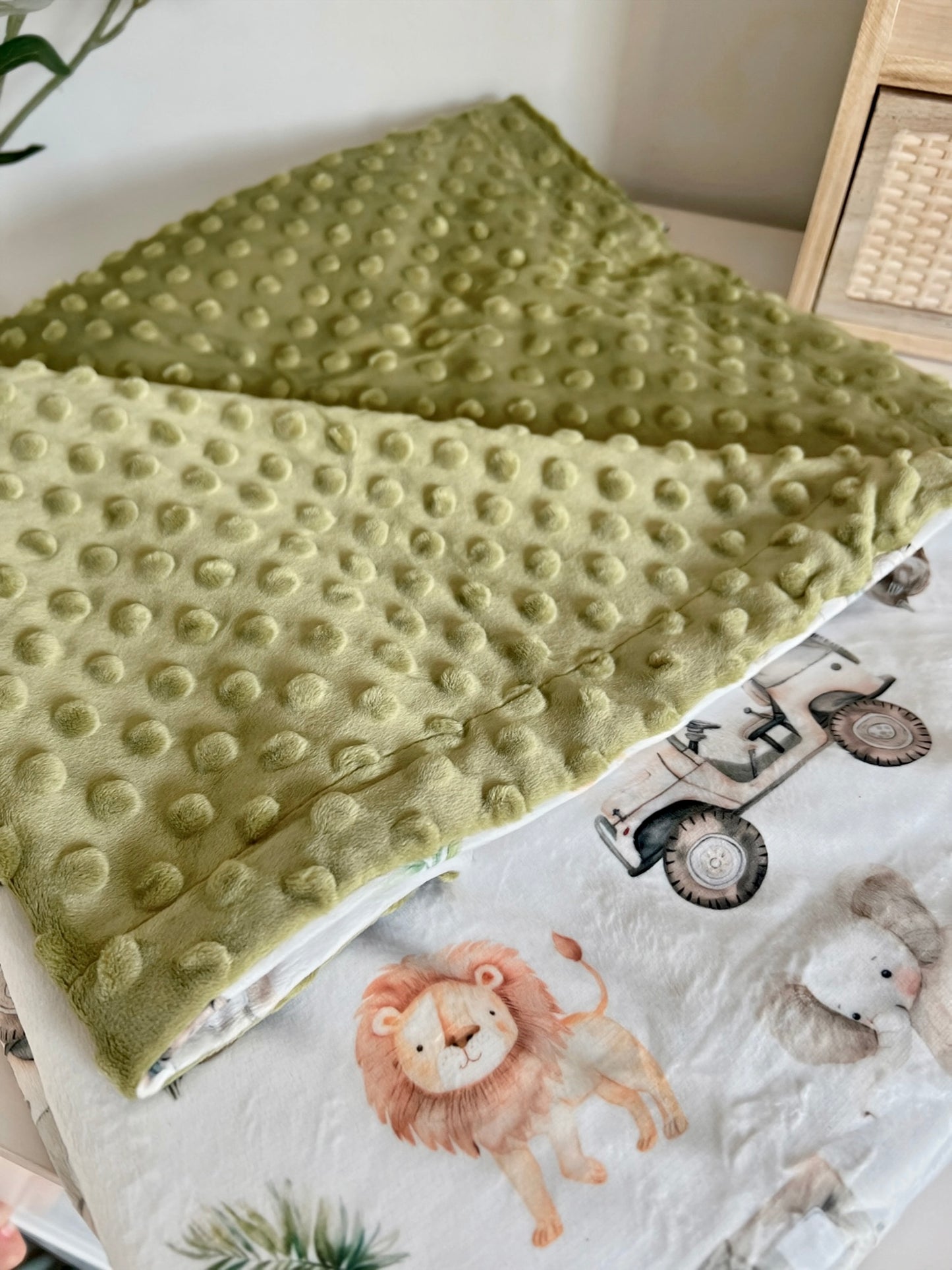 Minky blanket - Safari and trucks