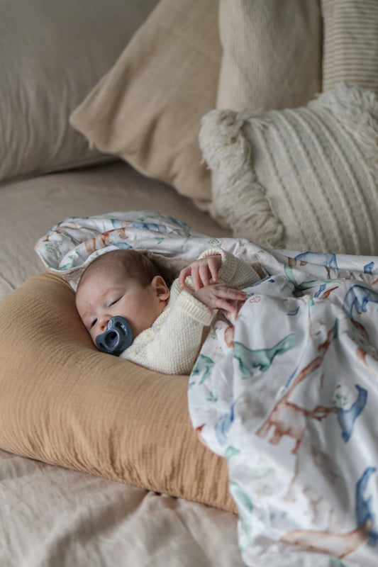 Minky Blanket - Dino