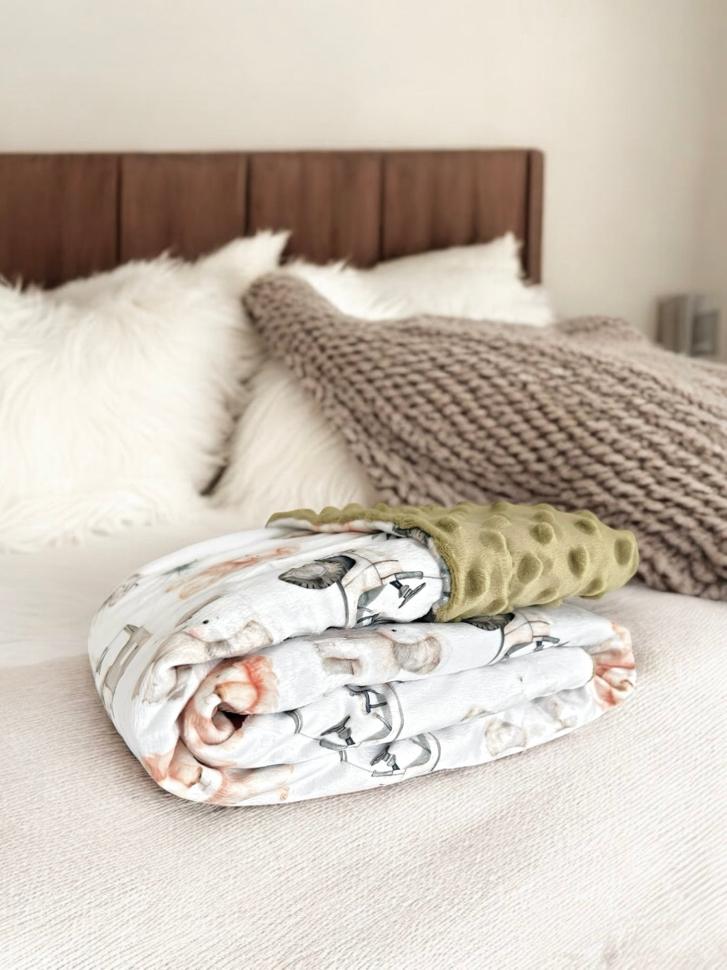 Minky blanket - Safari and trucks