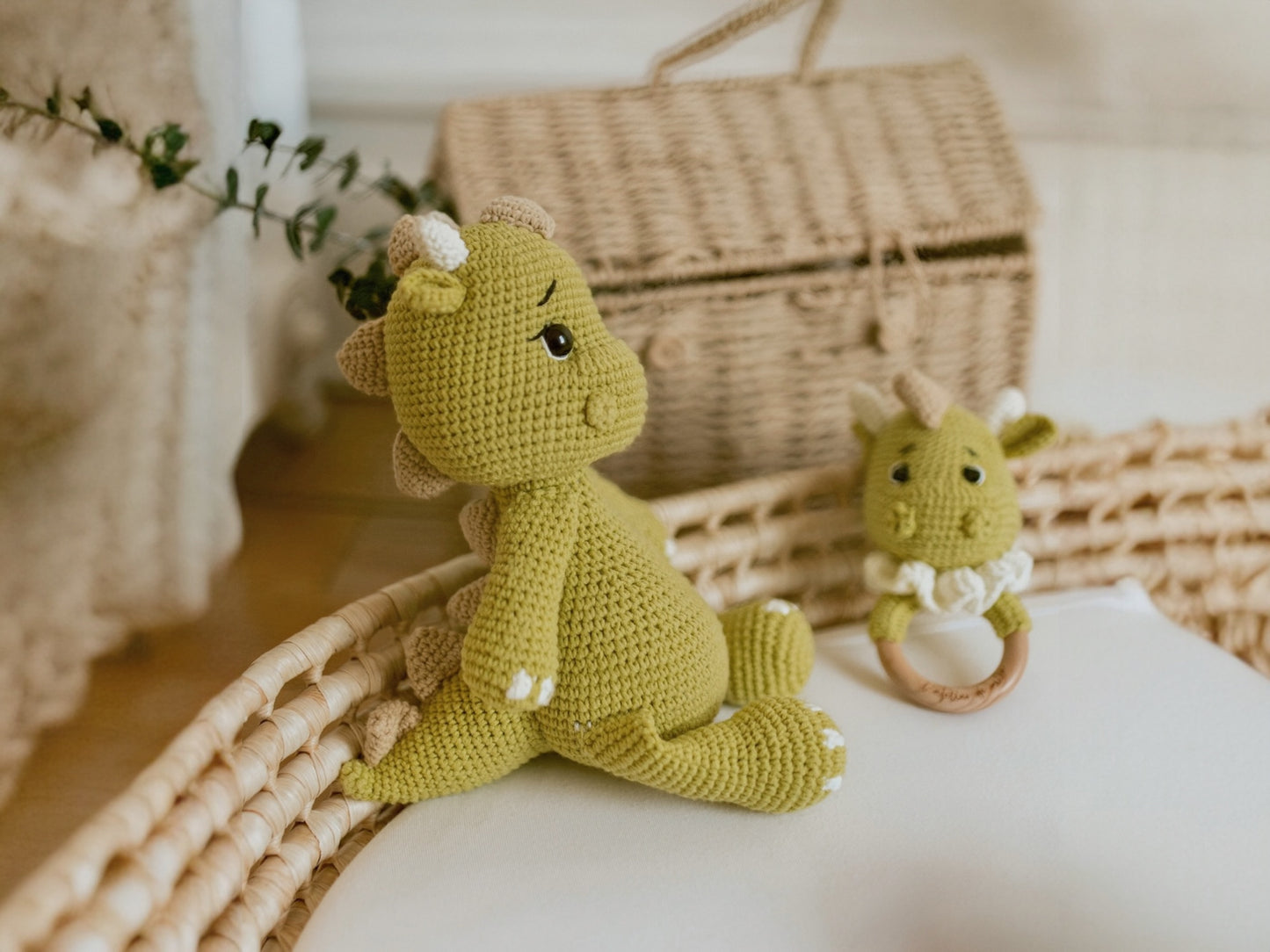 Coffret Essentiel - Rex