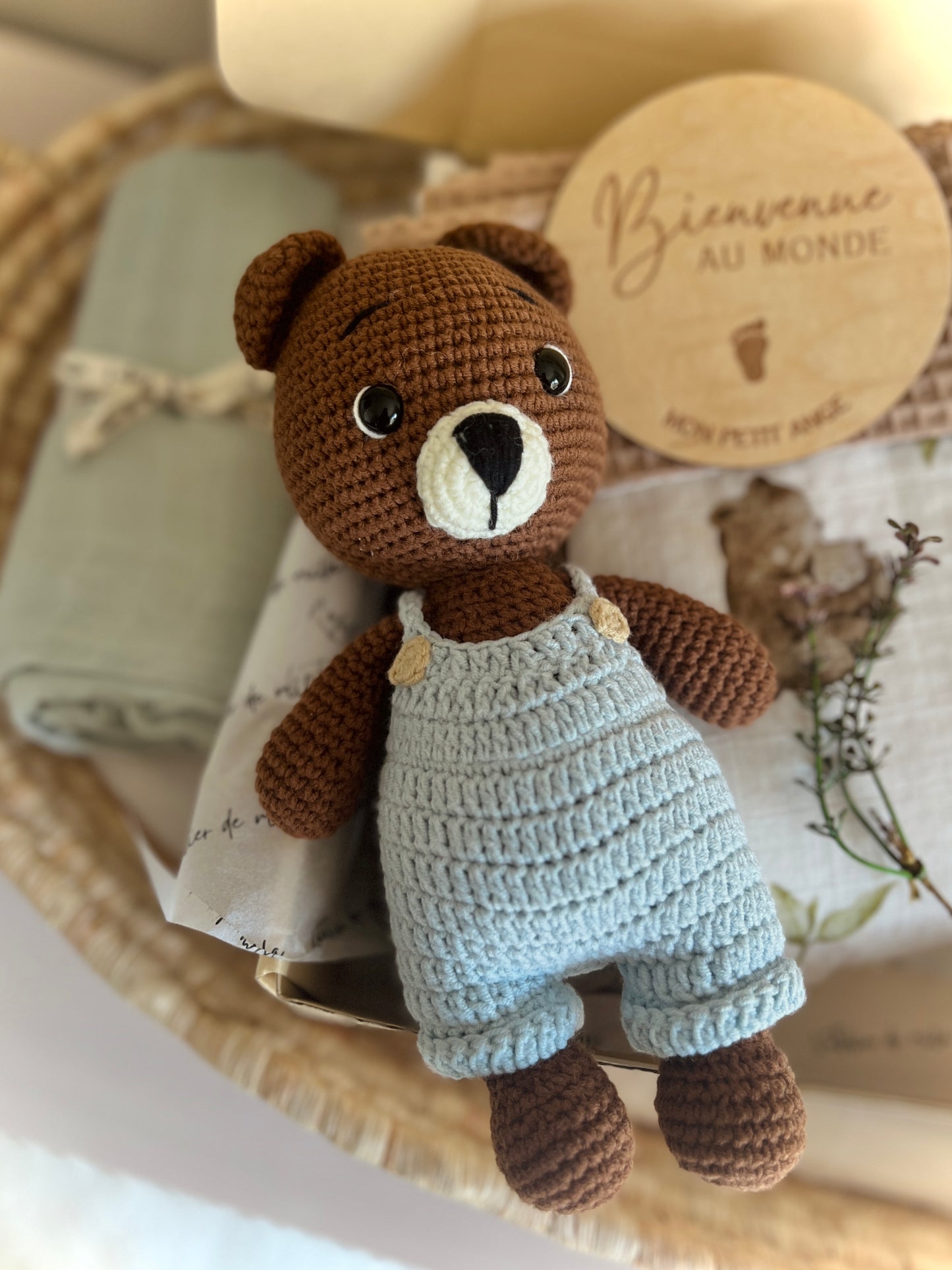 Theo the teddy bear