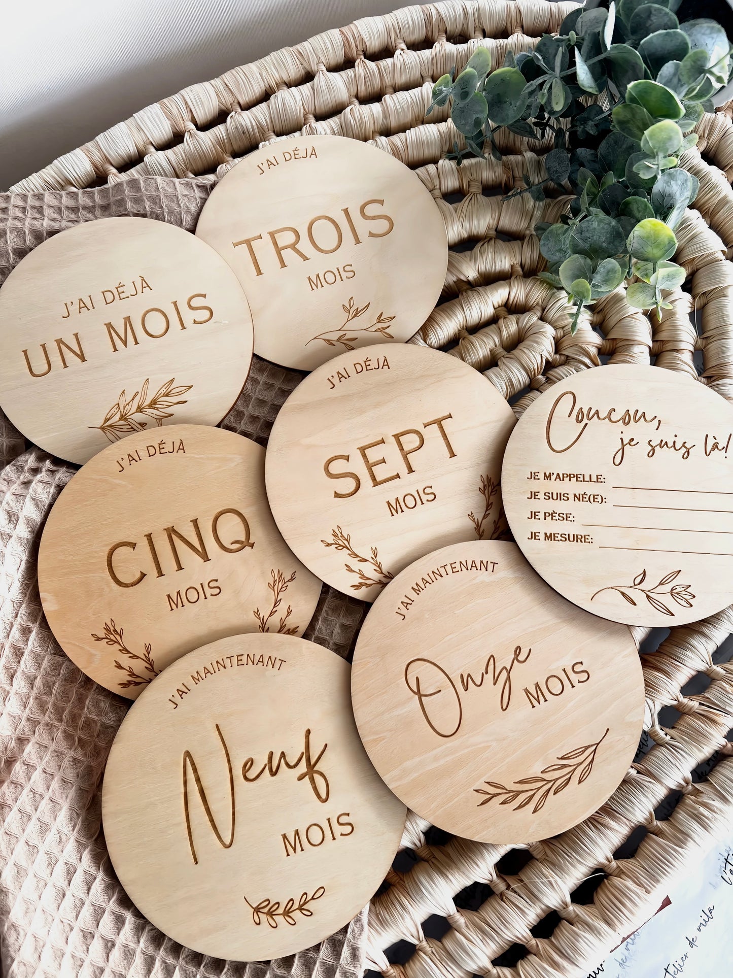 Wooden Cardboard Set - Birth Months (French only)